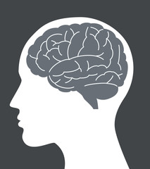 human brain vector illustration with face profile