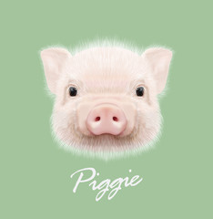 Vector illustrated portrait of farm pig. 