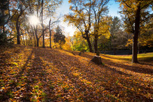 Hillside Cemetery With Long Shadows And Autumn Leaves