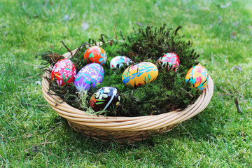 Wall Mural - colored easter eggs in basket on spring grass