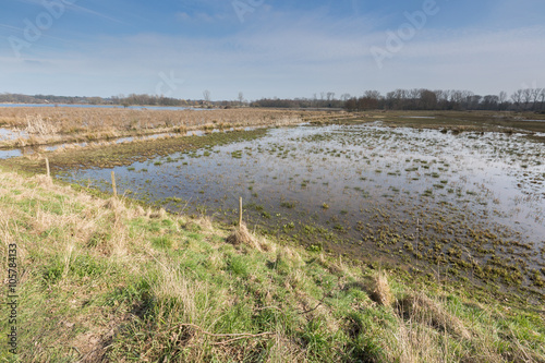 Fotografia, Obraz View of the marshland, the Mechels Broek