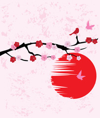 Canvas Print - Cherry Blossom