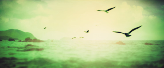 Wall Mural - Abstract blurred view nature sea and bird in sky , circle bokeh