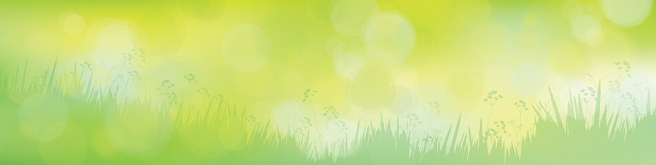 Wall Mural - vector green nature background.
