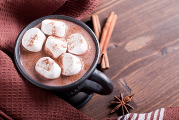 cup of cocoa with marshmallows and cinnamon, top view