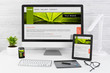 © REDPIXEL - Responsive web design