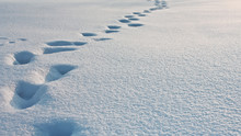 Deep Footprints In The Snow, Snowdrift Texture Background, Winter Background