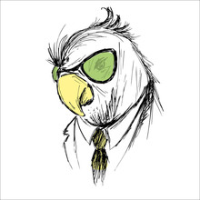 Hand Drawn Fashion Portrait Of Parrot Hipster Isolated On White
