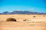 Fototapeta Nowy Jork - Mountain range on Corralejo dunes on Fuerteventura island in Spain