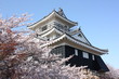 © Kyohei Kaneko - 桜と日本の城 浜松城 Cherry blossom and Japanese castle in Hamamatsu