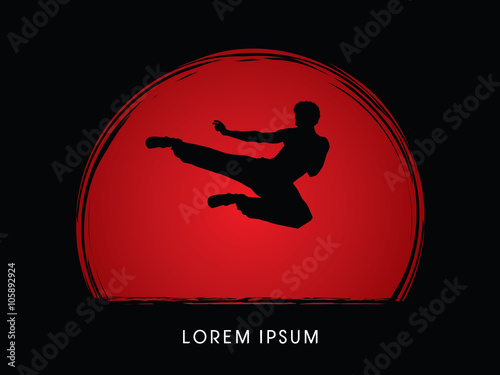 Fotografie, Obraz Kung fu, Karate jump kick , designed on sunset or sunrise background graphic vector