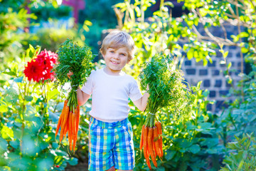 Funny little kid boy with carrots in  garden