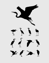 Heron And Stork Bird Silhouettes, Art Vector Design