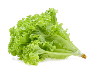 Fresh green oak lettuce leaf on white background