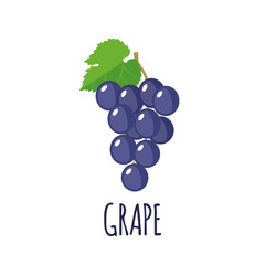 Wall Mural - Grape icon in flat style on white background