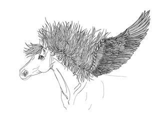 Beautiful Horse with mane and wings.Pegasus.Drawning by pen .Clo