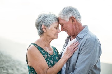 Wall Mural - Senior couple embracing