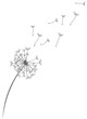 Pusteblume Löwenzahn mit Pollen Samen schwarz Silhouette Vektor