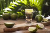 Fototapeta  - Gold tequila shot with lime fruits