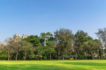 Wall Mural - park landscape thailand