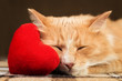 Red fluffy cat asleep hugging soft plush heart toy