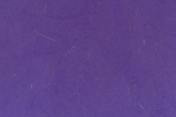 Poster - Handmade Purple paper