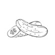 Hand drawn cucumber sketches on white background