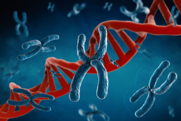 Poster - blue chromosome and red dna structure on blue background