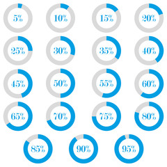 Poster - Set elements of infographics in pie charts. From 5% to 95%