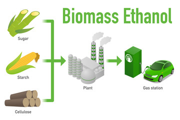 Wall Mural - Biomass ethanol, made form Sugar, Starch, Cellulose,  diagram illustration