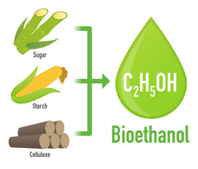 Wall Mural - Biofuel: Biomass ethanol, made form Sugar, Starch, Cellulose,  diagram illustration