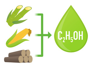 Wall Mural - Biofuel: Biomass ethanol, made form Sugar, Starch, Cellulose,  diagram illustration