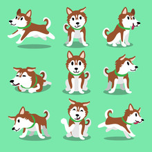 Cartoon Character Brown Siberian Husky Dog Poses