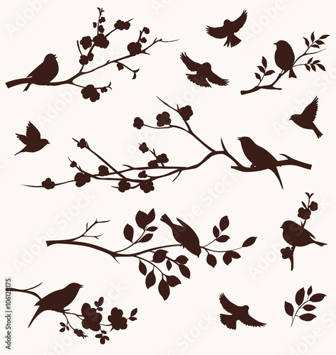 Plakat na zamówienie Rysunek ptaków na gałęziach 