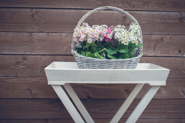 Wall Mural - Spring flowers