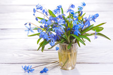Still Life With Spring Blue Flowers