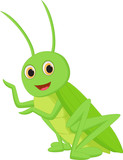 Fototapeta Dinusie - Cute grasshopper cartoon