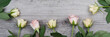 Pink and yellow roses over wooden table, panoramic image