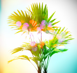 Poster - Beautiful background with palm leaves