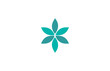 beauty leaf star eco flower logo