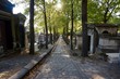 © elisabono - Green alley