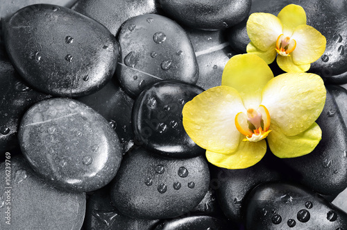 Naklejka na szybę Spa concept. Stones and Orchid flower.