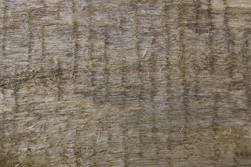 Wall Mural - Holz Textur