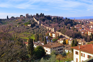 Wall Mural - view at the old Florence