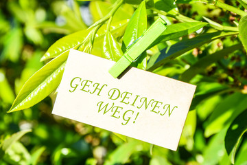 Canvas Print - Geh deinen Weg