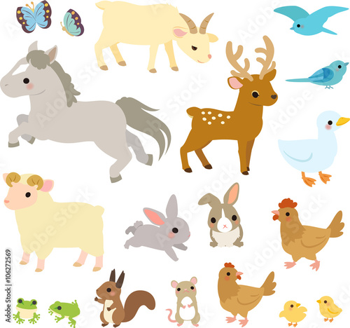 森や草原の動物たちのイラストセット Stock Vector Adobe Stock