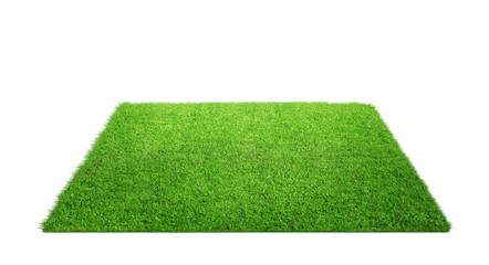 Wall Mural - close up of grass carpet isolated on white background with copy