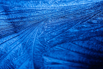 frost pattern
