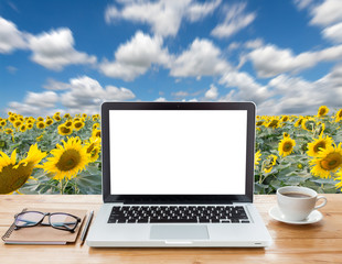 Aufkleber - laptop computer and coffee on sunflower field background