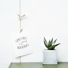 Wall Mural - Hipster scandinavian home interior decoration. Succulent and postcard garland over white wall. 